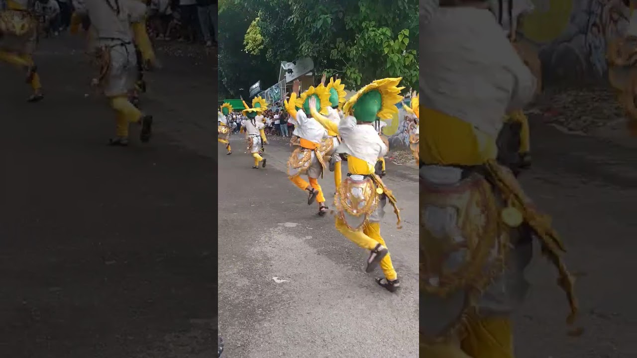 coconut festival #everyone #dance #highlights #likeandsubscribe #likes