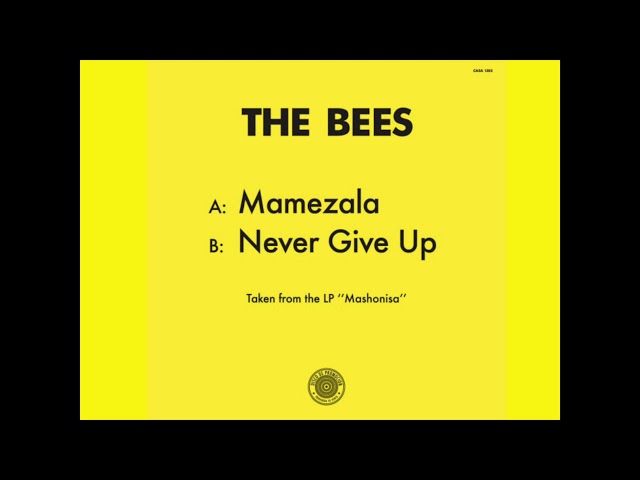 The Bees - Never Give Up