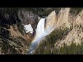Yellowstone Awakens: Spring Wildlife and Scenery in Yellowstone National Park