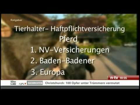 Des Menschen Bester Freund Check24 Zur Tierhalterhaftpflicht Auf N Tv Youtube