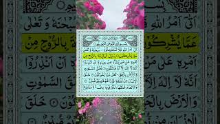 #holyquran #surah-Nahl #quran #qurantilawat #islamicvideo