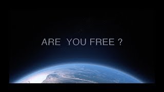 Are you Free ?