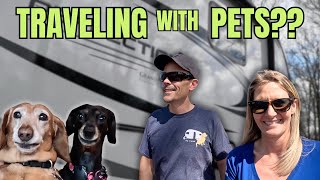 Traveling with pets?  Managing furry friends on the road.    Full time RV living! by Untethered 4,029 views 2 months ago 13 minutes, 12 seconds