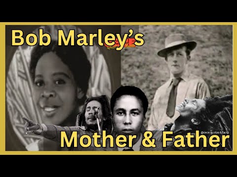 WHO Are Bob
