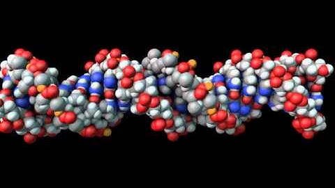 DNA rendered in Cinema 4D