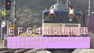 【ＥＦ６４電気機関車、１１５系普通列車、３８１系特急やくも】２０２３年１１月下旬、伯備線を行く列車たち…。「４種類のやくも」動画の続編…⁉️