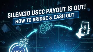 Silencio USDC Withdrawal Guide | Peaq Network to Exchange