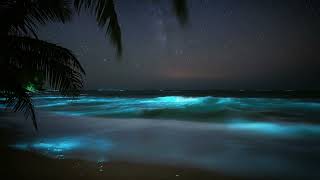 Lagoon Glow