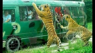 Gazipur Bangabondhu Safari Park..