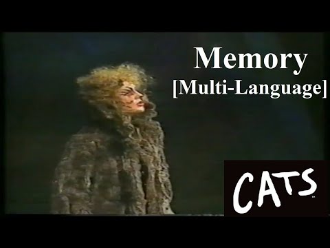 JF Cats Memory Reprise Multi Language