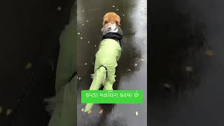 કપડ મચગ કરવ ચર