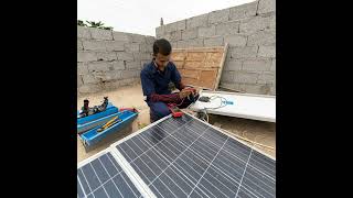 Green jobs: A solution to youth employment and the climate crisis?