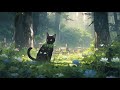 Lofi with my cat  drizzle  cat  chillsleephealing   lofi mix  lofi songs 