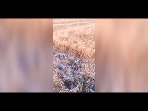 ახალქალაქის სოფლები დაისეტყვა