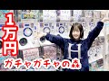 ガチャガチャの森で1万円チャレンジ ディズニー全制覇したぜ ガチャガチャの森で1万円チャレンジ ディズニー全制覇したぜ