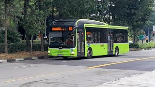 SMB3059Y(SEDEP 138) On Service 812 At Yishun Avenue 2 SMB3059Y(SEDEP 138) On Service 812 At Yishun Avenue 2