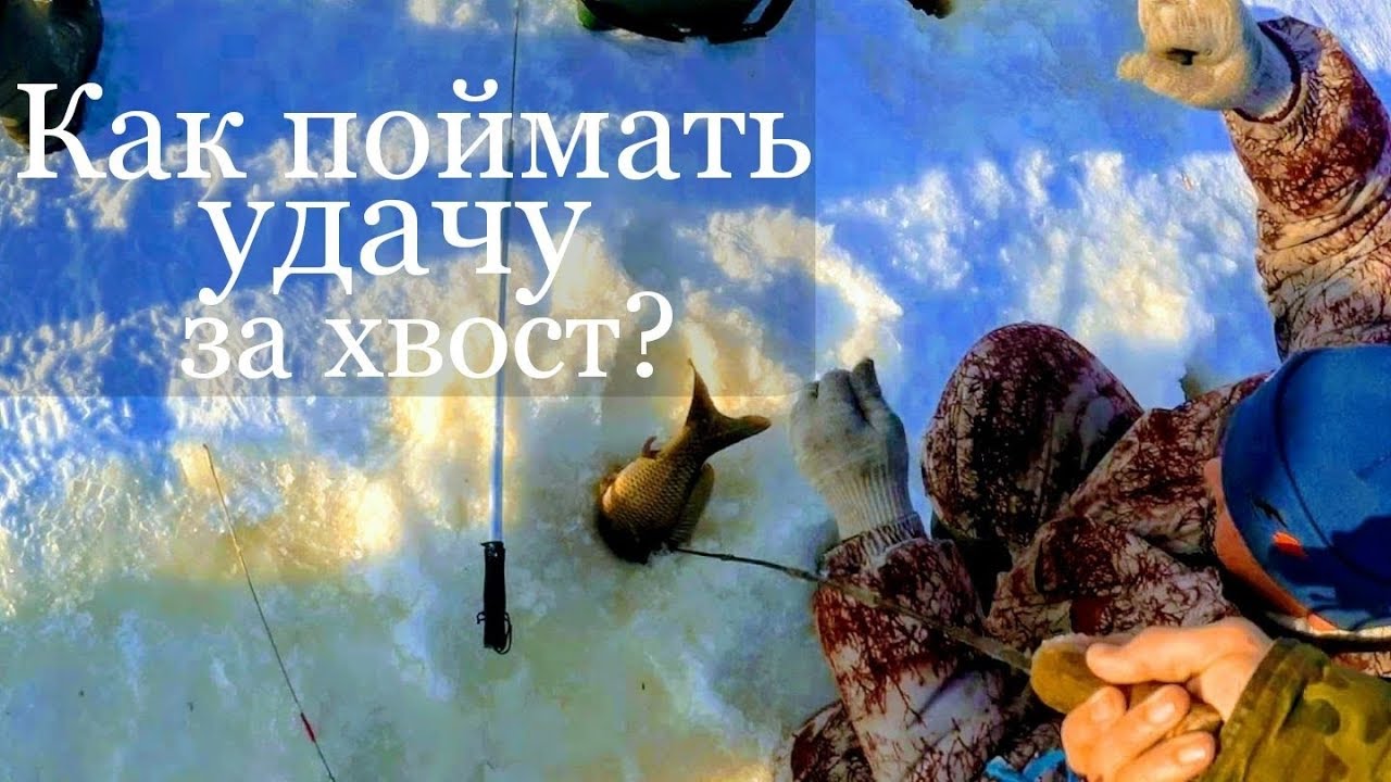 БЕШЕНЫЙ КЛЕВ КАРПА НА ПОПЛАВОЧНУЮ УДОЧКУ: видео рыбалка без понтов на карпа в новороссийске Васюринские балки. Платник. Рыбалка в Краснодаре. Мирная рыба. Амур. Сазан. Карп.