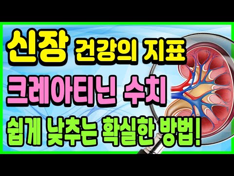 신장 크레아티닌수치 쉽게 낮추는 식사법｜사구체여과율 높이기｜신장(콩팥)좋아지는 방법｜신장에좋은음식｜하늘건강법