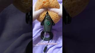ASMR Mic Sponges 🎙️🧽 #asmr #asmrmicsounds #shorts