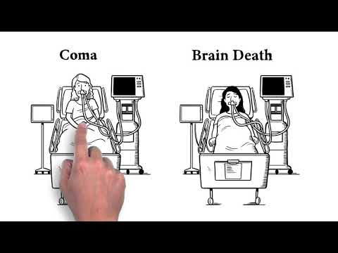 How is Brain Death Different than Coma?