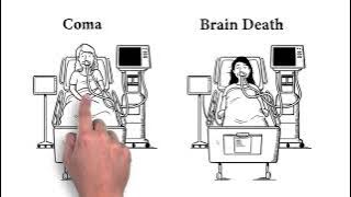 How is Brain Death Different than Coma?