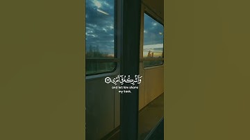 (قَالَ رَبِّ اشْرَحْ لِي صَدْرِي) القارئ شريف مصطفى حالات واتس اب❤🥺🍁