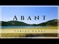 Abant Gölü Tabiat Parkı / Abant Lake Nature Park - Bolu | Drone 4K