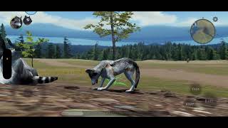 More company!|Ultimate Wolf Simulator 2 Side Stories|Ctimene's Path|ep 12 screenshot 3