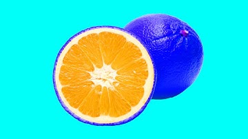 스톱모션 애니메이션을 만족시키는 과일 및 채소 내부 패턴 Patterns Inside Fruits and Vegetables Stop-Motion Animation 93