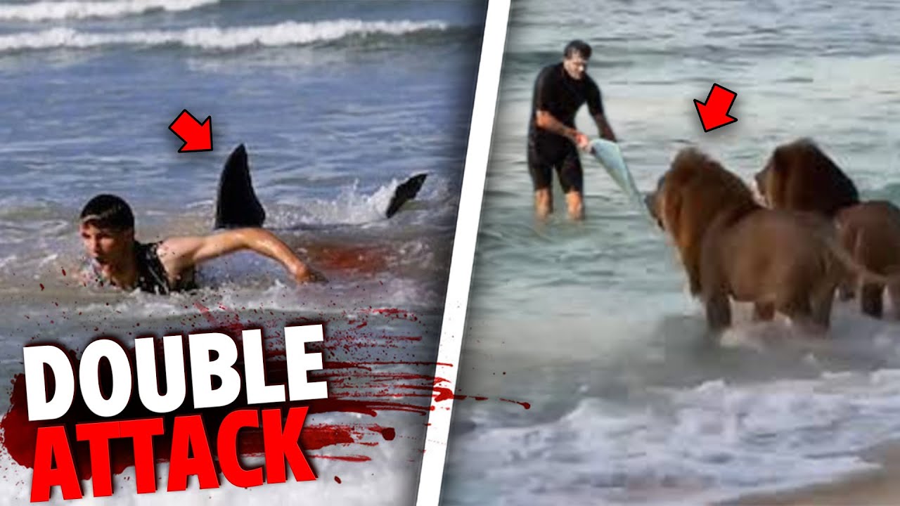 After Surviving A Shark Attack This Man Was Mauled By Lion Pride!