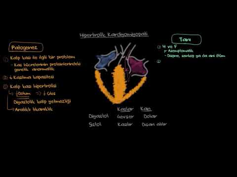 Hipertrofik Kardiyomiyopati: Patofizyolojisi ve Tanısı (Sağlık Bilgisi ve Tıp)