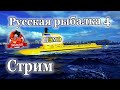 Русская рыбалка 4. Стрим обновление