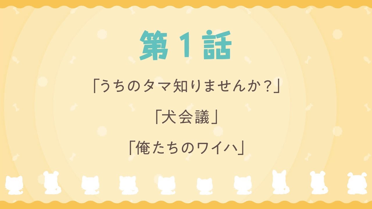 Tvアニメ うちタマ うちのタマ知りませんか 第1話 Web予告 Youtube Tvアニメ うちタマ うちのタマ知りませんか 第1話 Web予告 Youtube