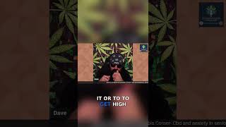 Is CBD the Solution for Your Anxiety Symptoms?