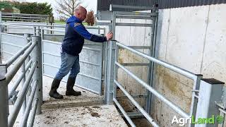 Loose shed and a first-class handling facility in Co. Tipperary - Buildings Focus