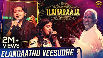 இளங்காத்து வீசுதே | Elangaathu Veesudhe | Pithamagan | Ilaiyaraaja Live In Concert Singapore