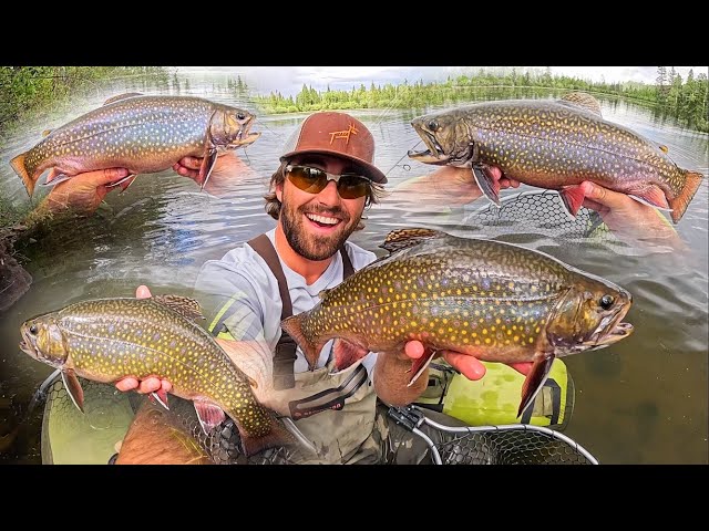 GIANT BROOK TROUT FISHING!! (Catch & Cook!!) - YouTube
