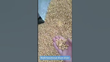 Multi-functional peanut coffee bean roasting machine #roasting #coffeebeansroasting #shorts #video