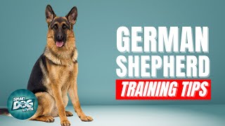 How to Train Your German Shepherd | Best German Shepherd Puppy Training Tips screenshot 5