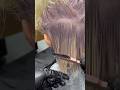 How to #Tone your #Hair #Platinum #White #Blonde easy with @Guy_Tang #Reflect 9SPL in 15mins.