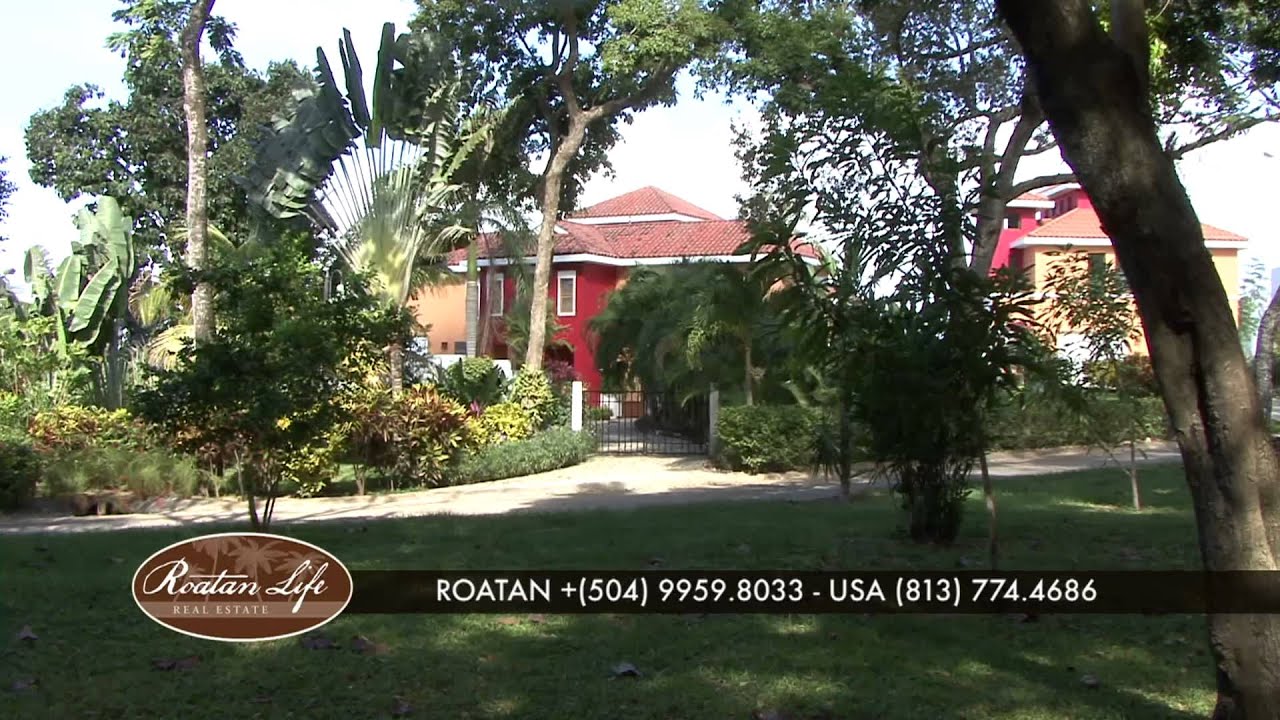 Roatan Life Real Estate - V1