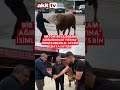 Bir ton 140 kilogram ağırlığındaki Fırtına isimli kurbanlık, 575 bin liraya satıldı #Haber #shorts