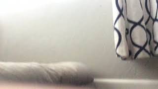 Josh Vs Herman Vs Amouras