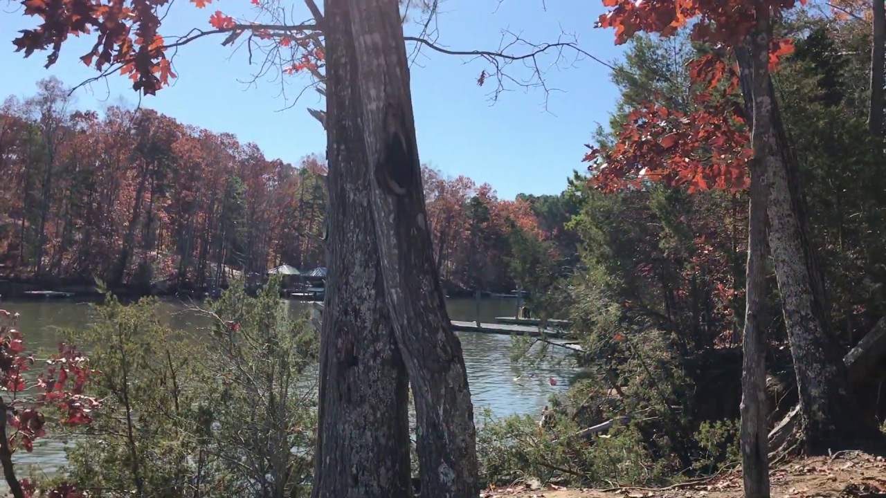 Lake Wylie near Palm Tree Cove, York, South Carolina YouTube