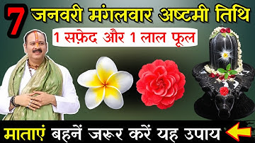 7 जनवरी पौषमास मंगलवार अष्टमी तिथि को 1 लाल फूल 1 सफेद फूल वाला उपाय जरूर करे || Pradeep Ji Mishra