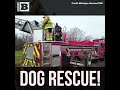 Santa Paws? Dog Stuck in Abandoned House's Chimney Rescued by Fire Department