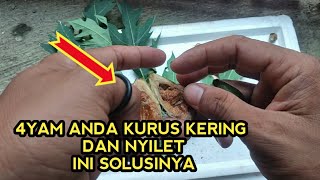 HOT NEWS ~ 16 JENDRAL BANGSAT ANAK BUAH FERDI SAMBO DIPINDAHKAN KE SEL KELAS BERAT❗. 