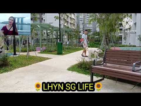 EXPLORING THE VIEW CHILDRENS PLAYGROUND