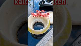 Tipp für Jungpflanzen in kalten Nächten #aussaat #selbstversorgung #garten #tipps