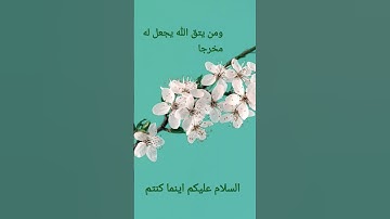 القرآن الكريم/سورة الإسراء القارئ الحاج عامر الكاظمي/اللهم صل وسلم على نبينا محمد